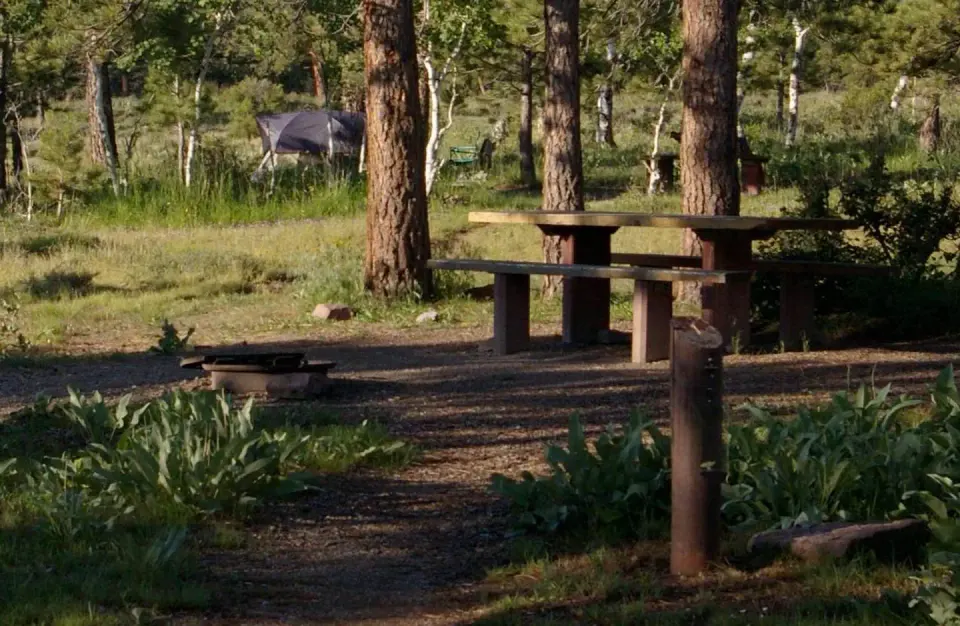 This site is has a tent set up in the background. There is a picnic table and fire pit in the non-grassy area. This site offers some shade.