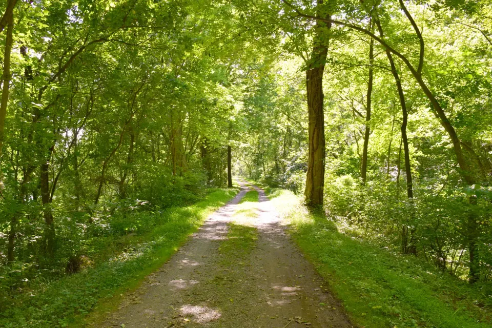Canal Towpath