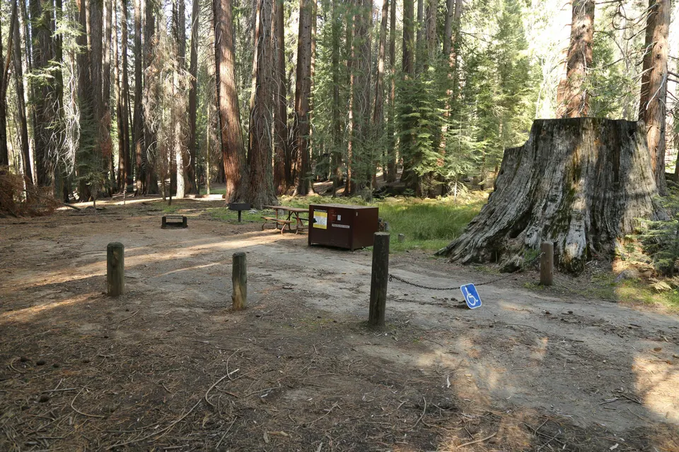 Accessible Campsite