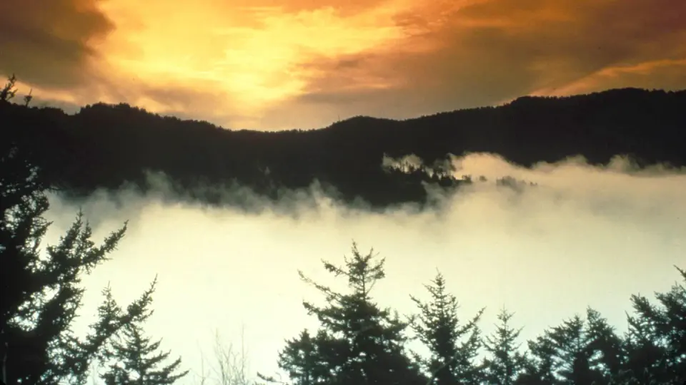 A dramatic colored evening sky above peaks in the Smokies