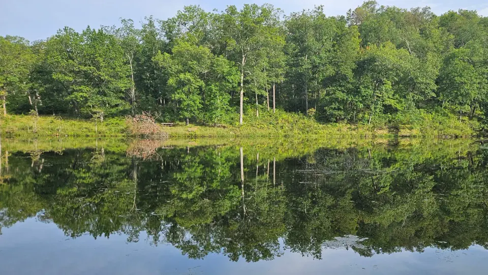Mark Twain National Forest recreation area