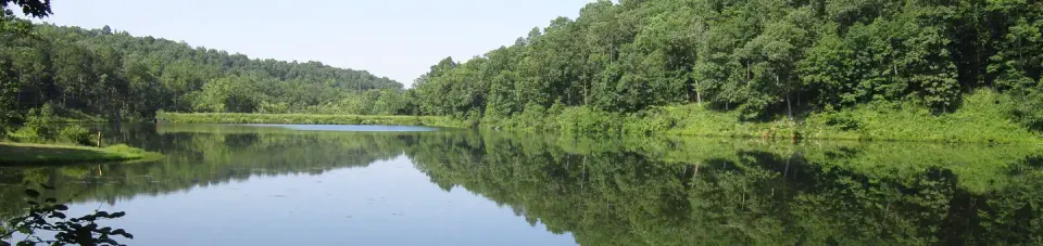View of Loggers Lake
