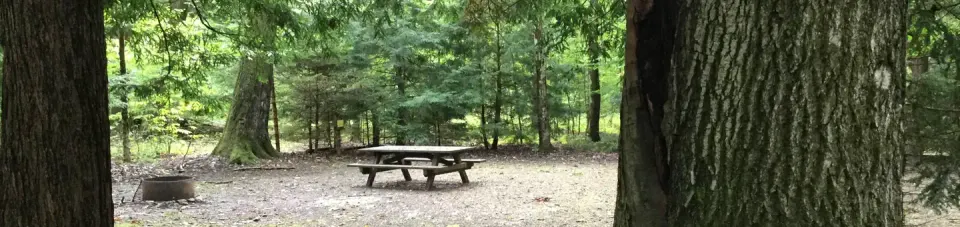 Allegheny National Forest recreation area