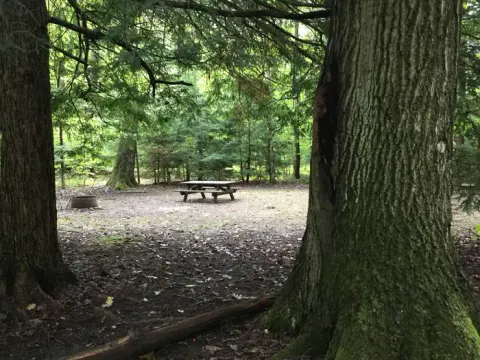 Hearts Content Recreation Area