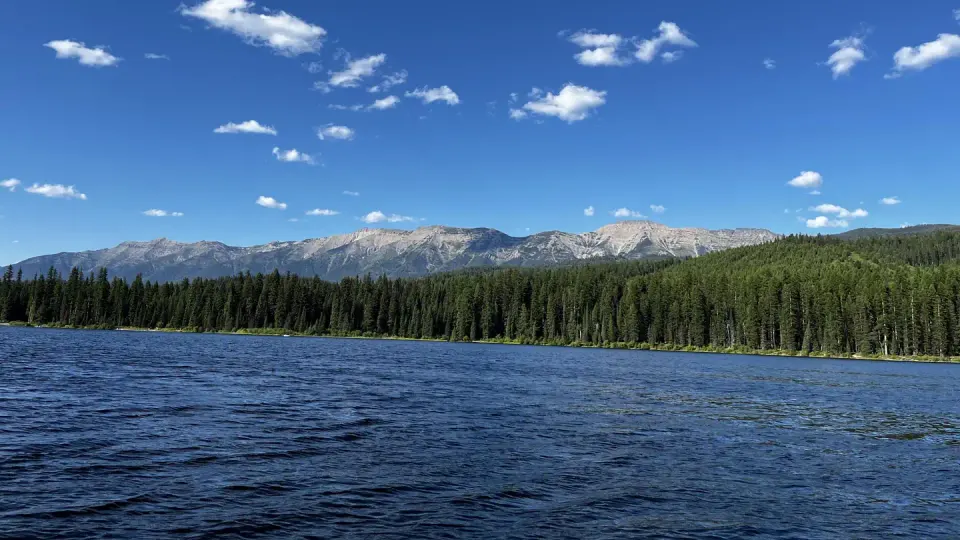 A photo of Lake Alva on a sunny day. The water and skies are bright blue, and trees and the swan range can be seen in the background.