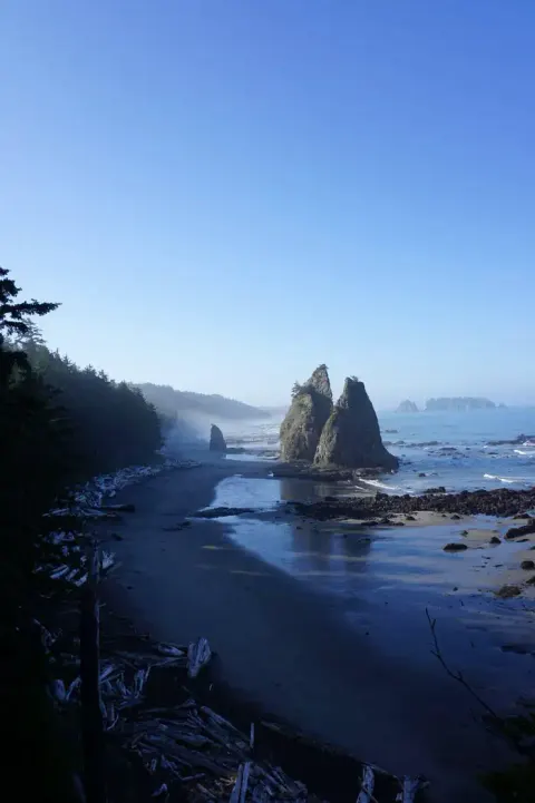 Olympic National Park recreation area