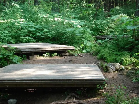 Three wooden platforms raised off the ground in a lush setting