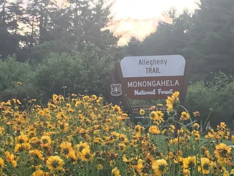 Monongahela National Forest recreation area