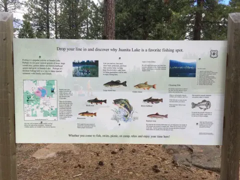 Juanita Lake Fish Species Information