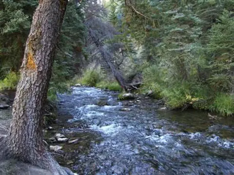 Big Rock Group Campground