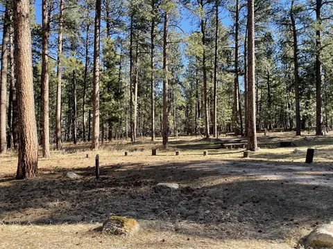 Site 6 Spur