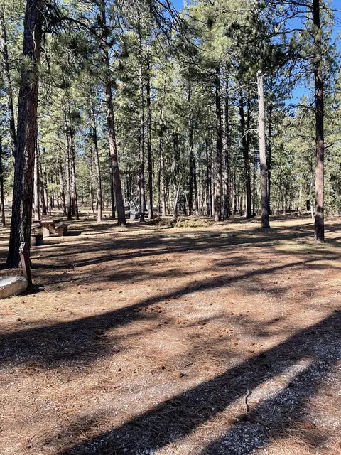 Site 3