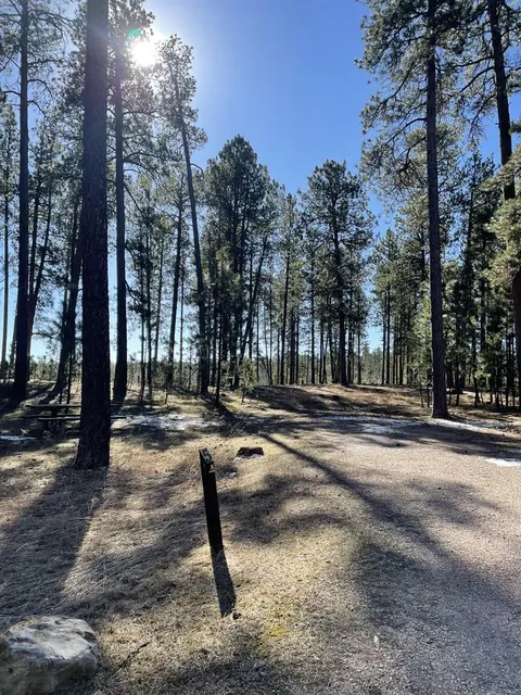 Site 5