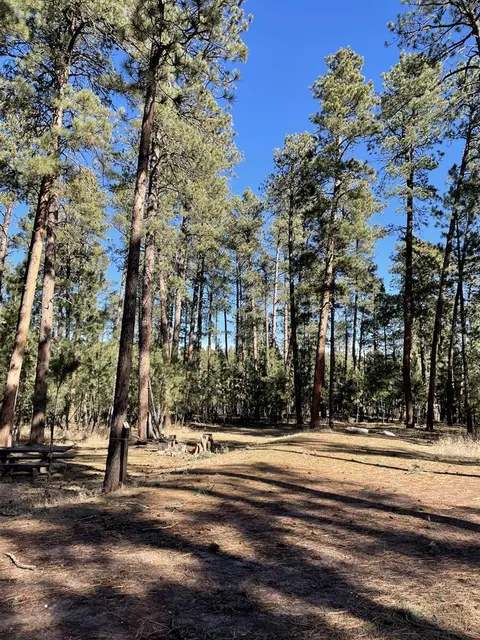 Site 7