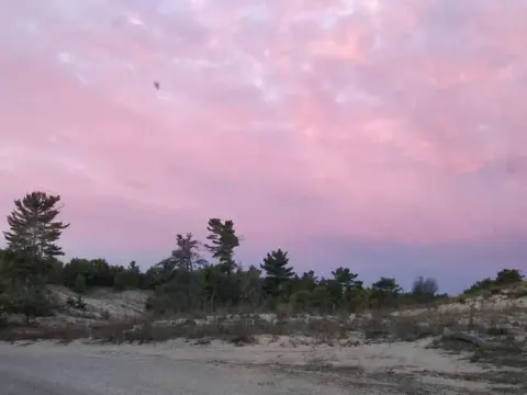 Pink sky