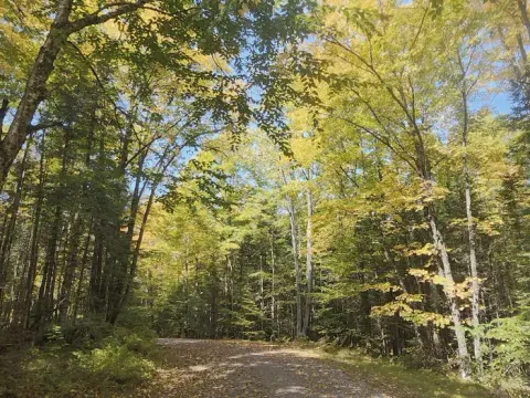 Road into Beaver lake