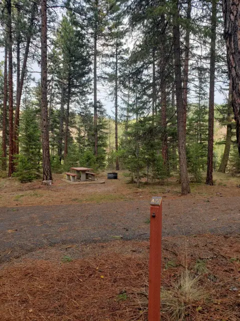 Loop A , Site 22