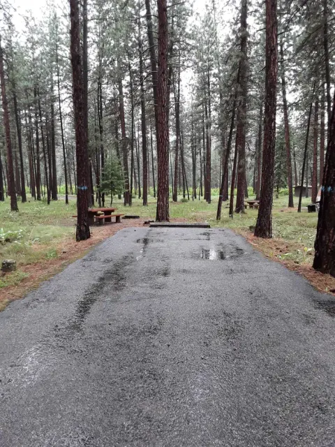 Lolo National Forest recreation area
