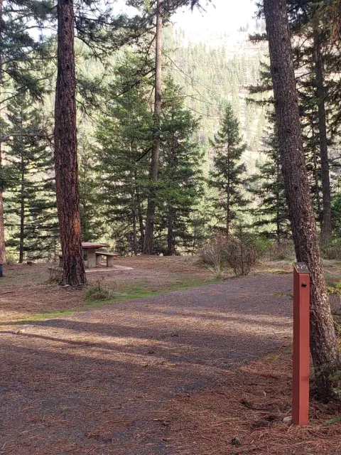 Loop A , Site 20