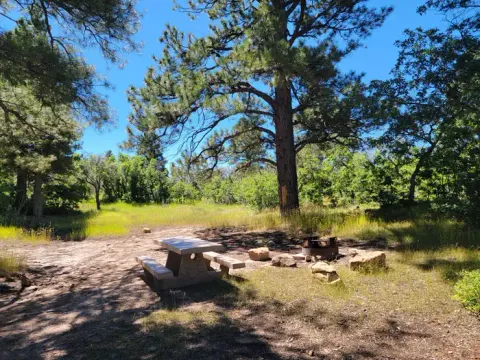 An individual campsite with a picnic table and fire ring shaded by ponderosas.