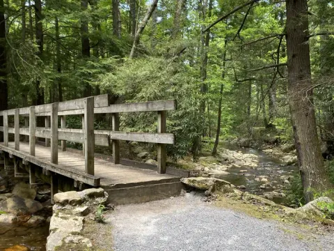 Horse Creek Campground Trail Bridge