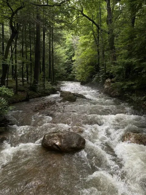 Horse Creek