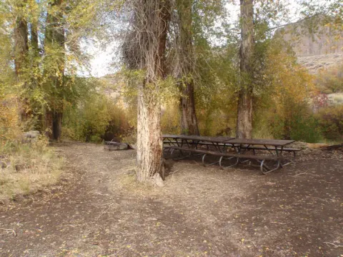 Picnic Tables at the campsite