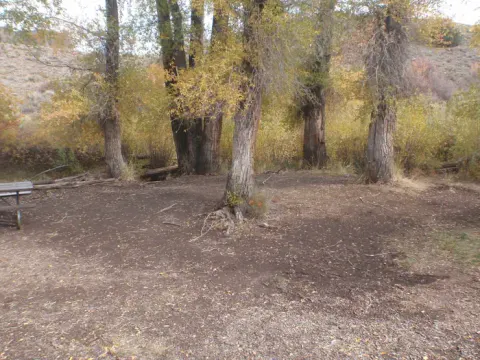 Tent area