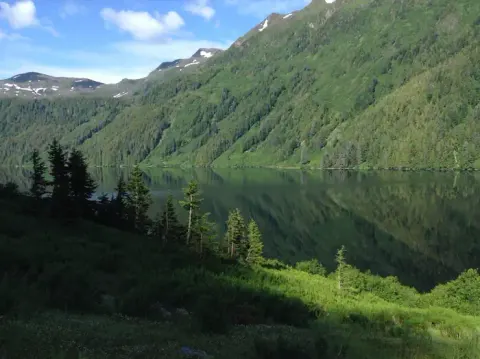 Tongass National Forest recreation area
