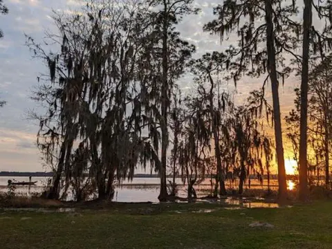 National Forests in Florida recreation area
