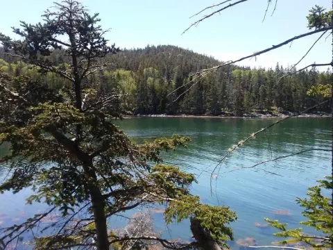 Duck Harbor and Duck Harbor Mountain