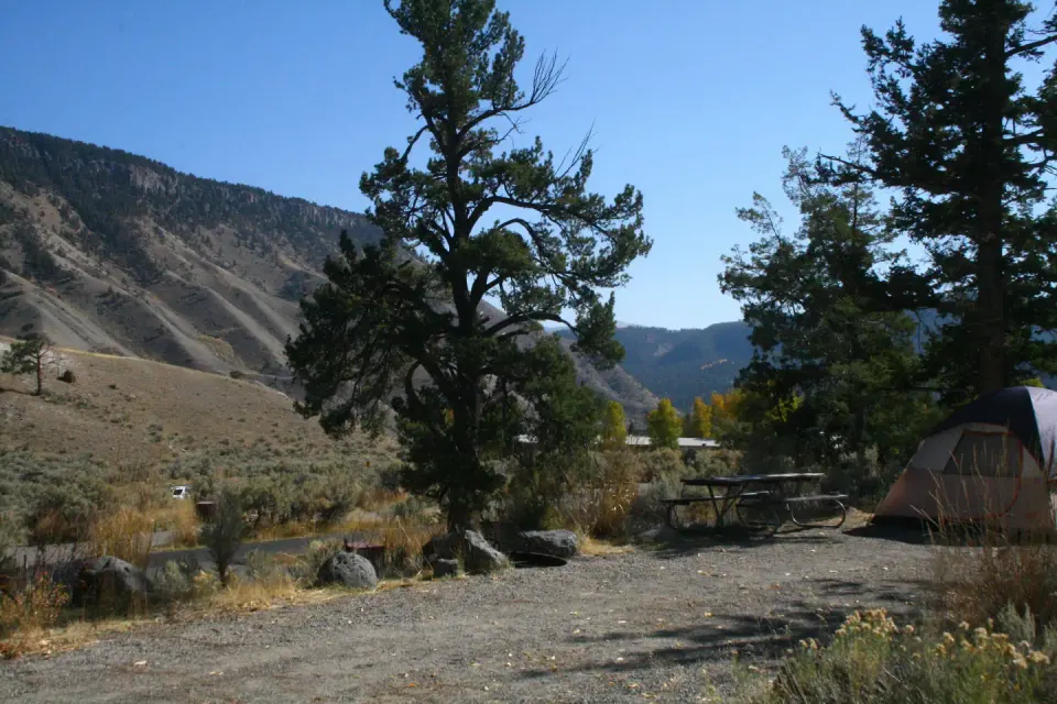 Tall junipers frame Mammoth Campground, campsite 58