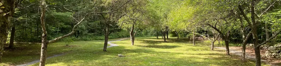 Green Mountain & Finger Lakes National Forests recreation area