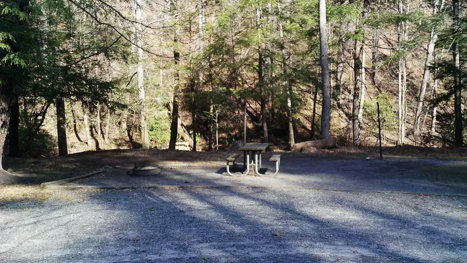 Site on the creek