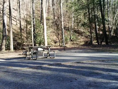 Typical Campsite