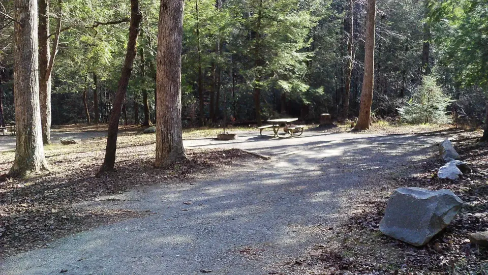 Campsite #10