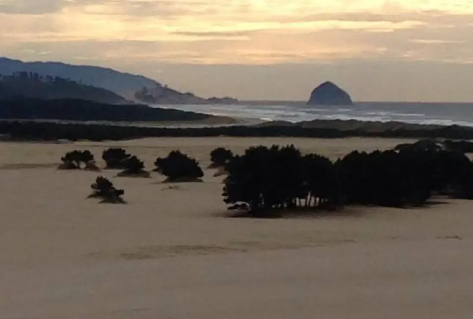 Siuslaw National Forest recreation area