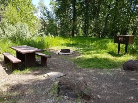 Campsite area with shade