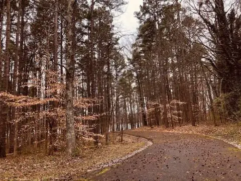 Buffalo Park