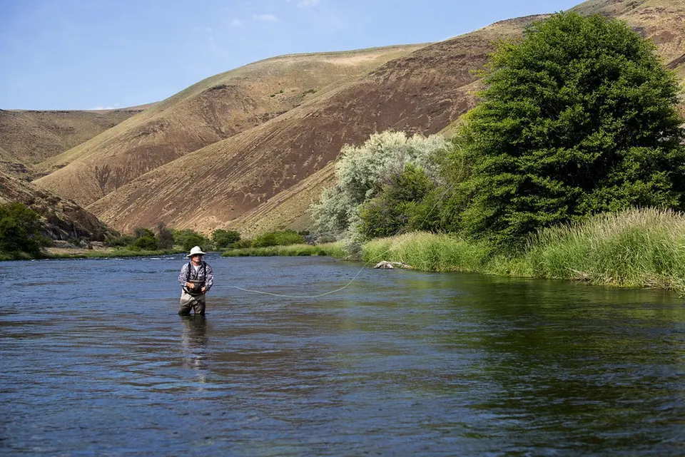 Fishing the “Lower D”