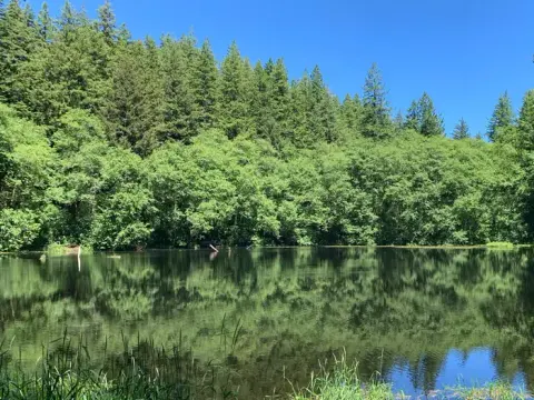 Hebo Lake surrounded by a forested landscape.