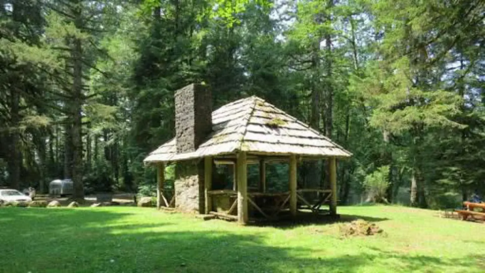 Picnic shelter, amid forested backdrop of Douglas fir and Western hemlock.