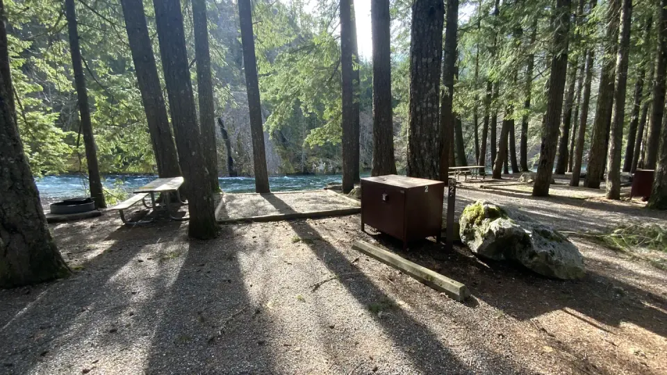 Sunny campsite near the lake containing a bear box, picnic table, and campfire ring.