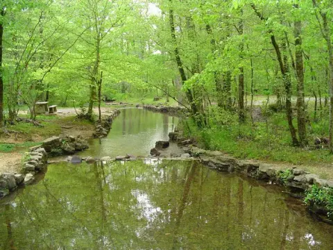 Chattahoochee-Oconee National Forest recreation area