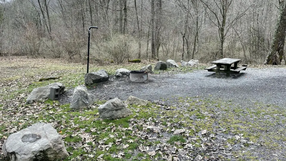 Cranberry River Campsite