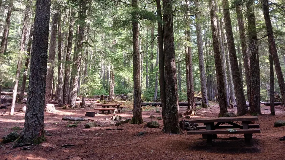 Willamette National Forest recreation area