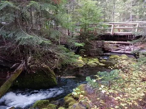 Willamette National Forest recreation area
