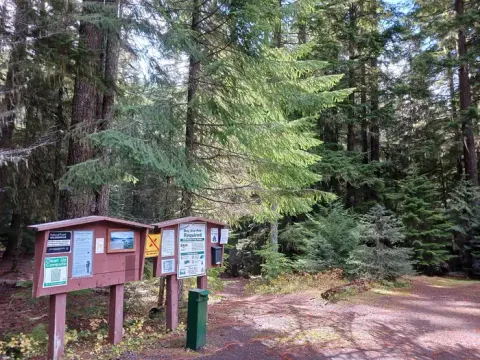 Willamette National Forest recreation area