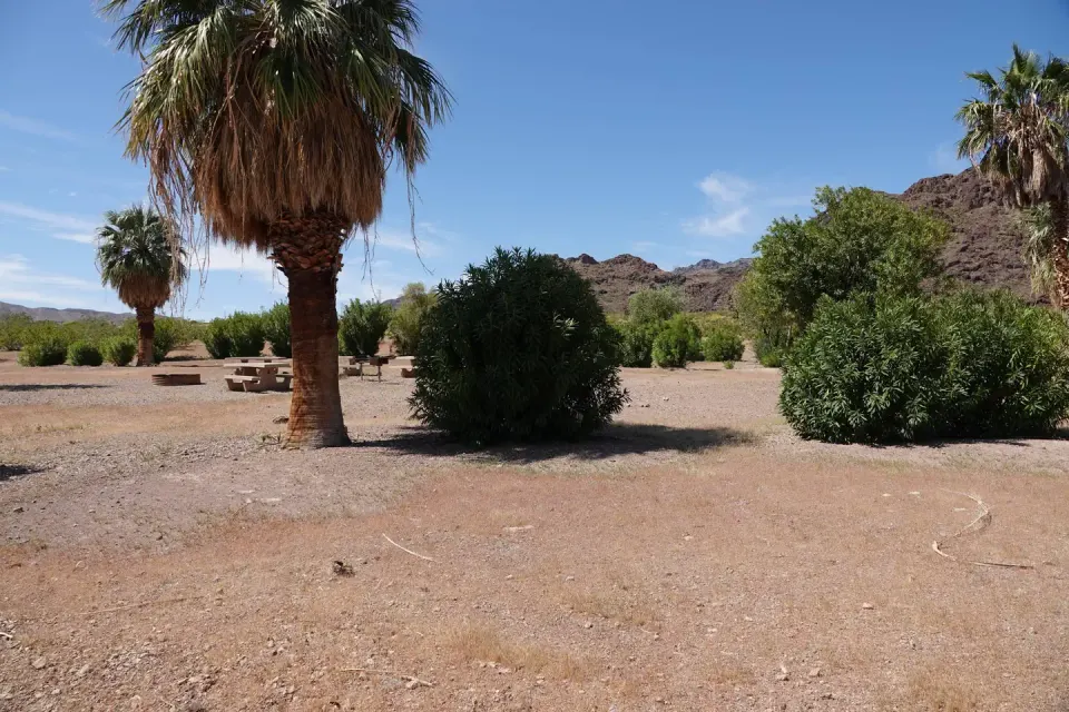 Campsite 3 located in an open desert setting