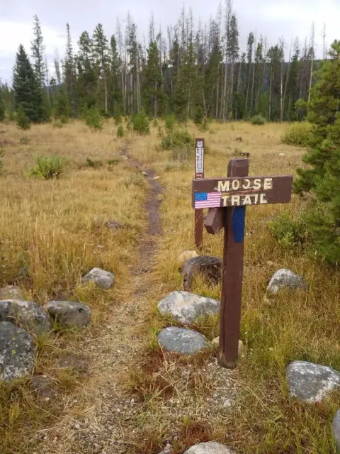 Medicine Bow-Routt NFs & Thunder Basin NG recreation area
